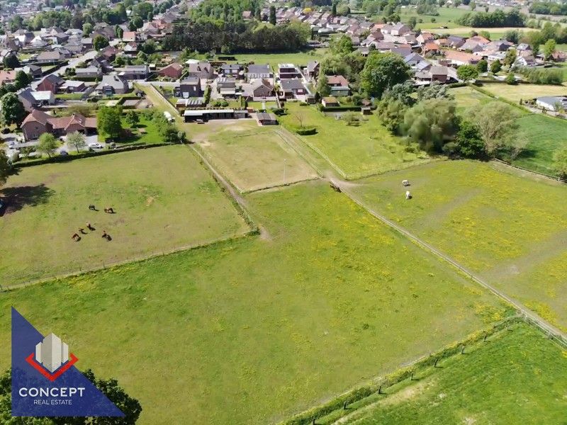 Instapklare woning met 3 slaapkamers met achterliggende paardenweides. foto 50