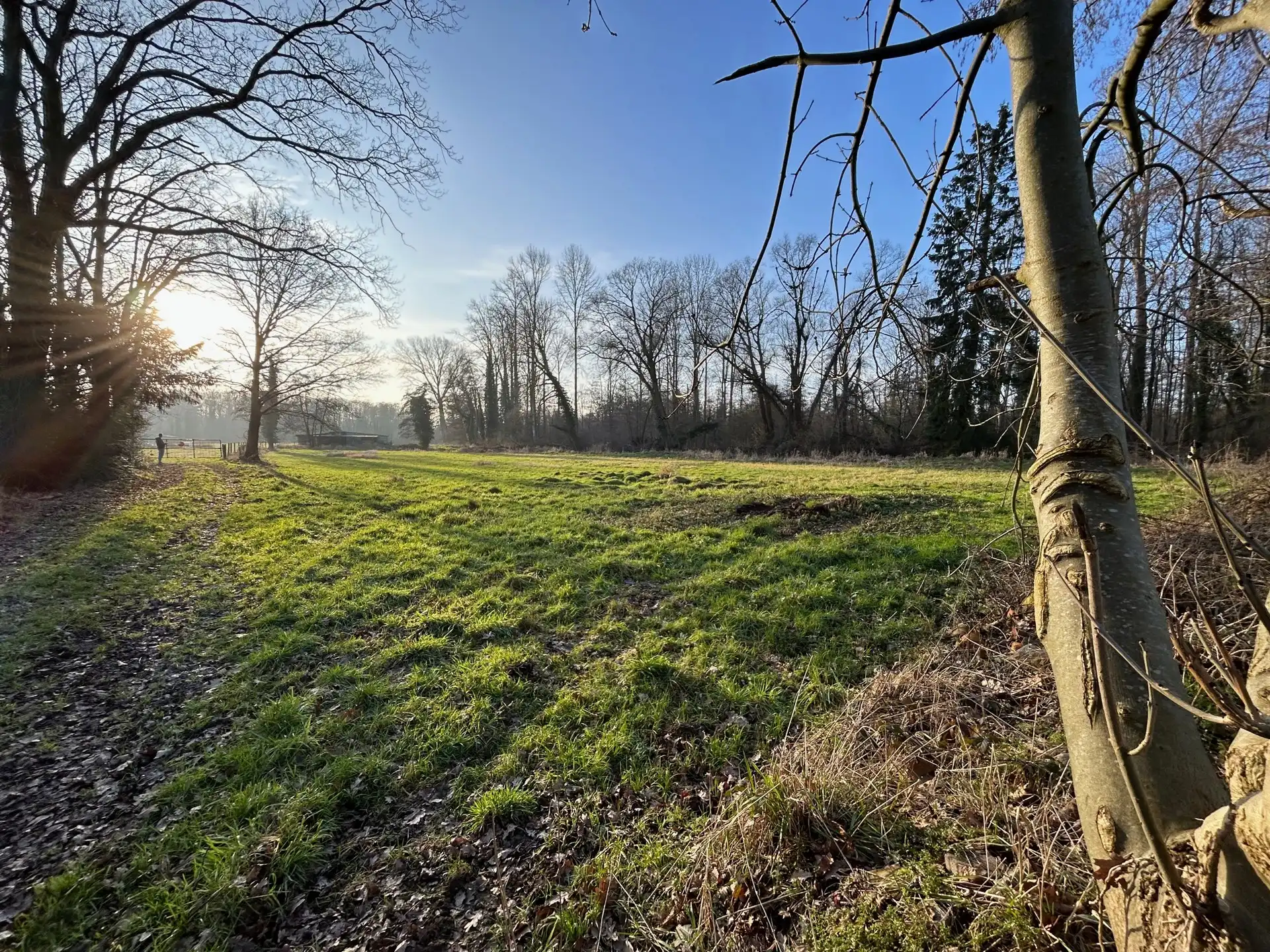 Grond te koop foto 10