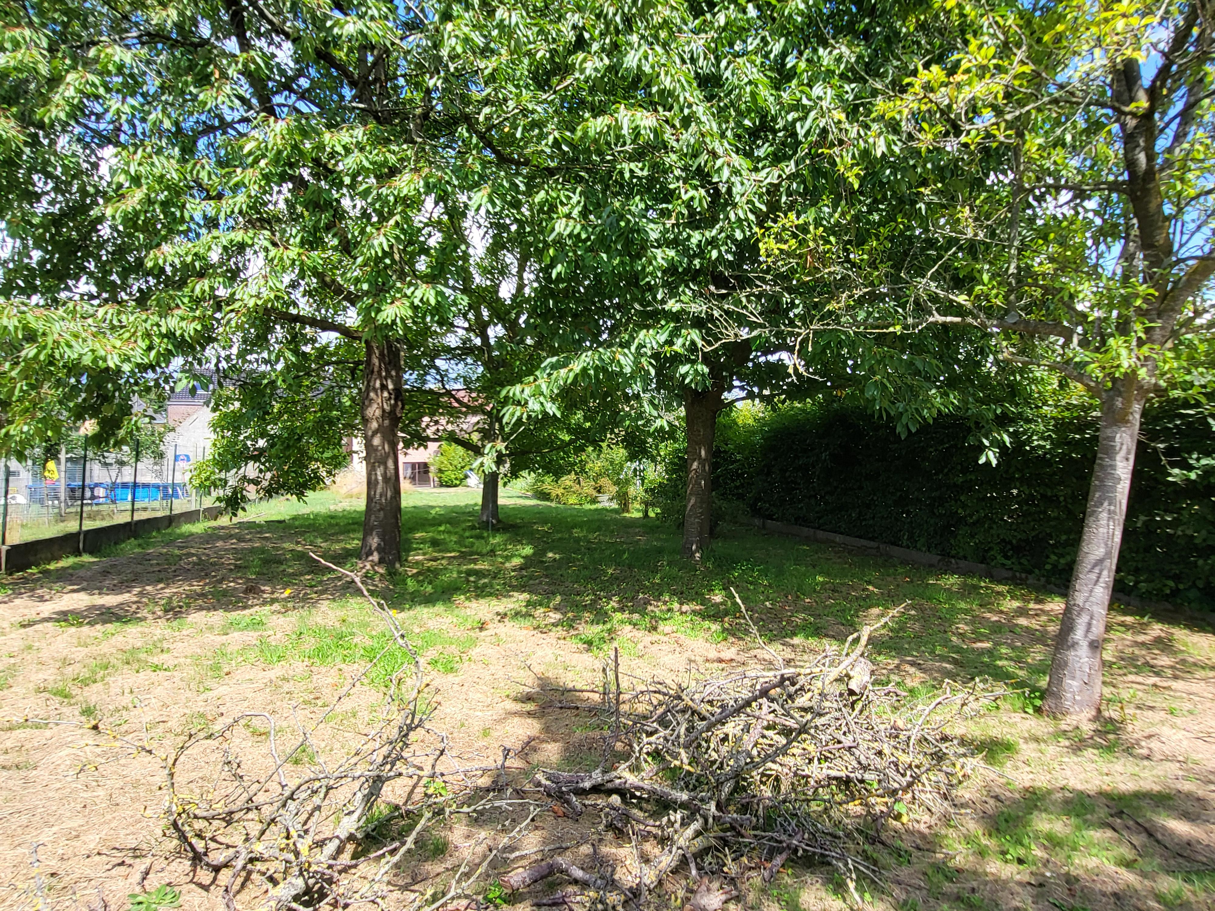 Prachtige burgerwoning op 950 m² met ruime garage en zuidgerichte tuin gelegen in de Vlaamse Ardennen.  foto 30
