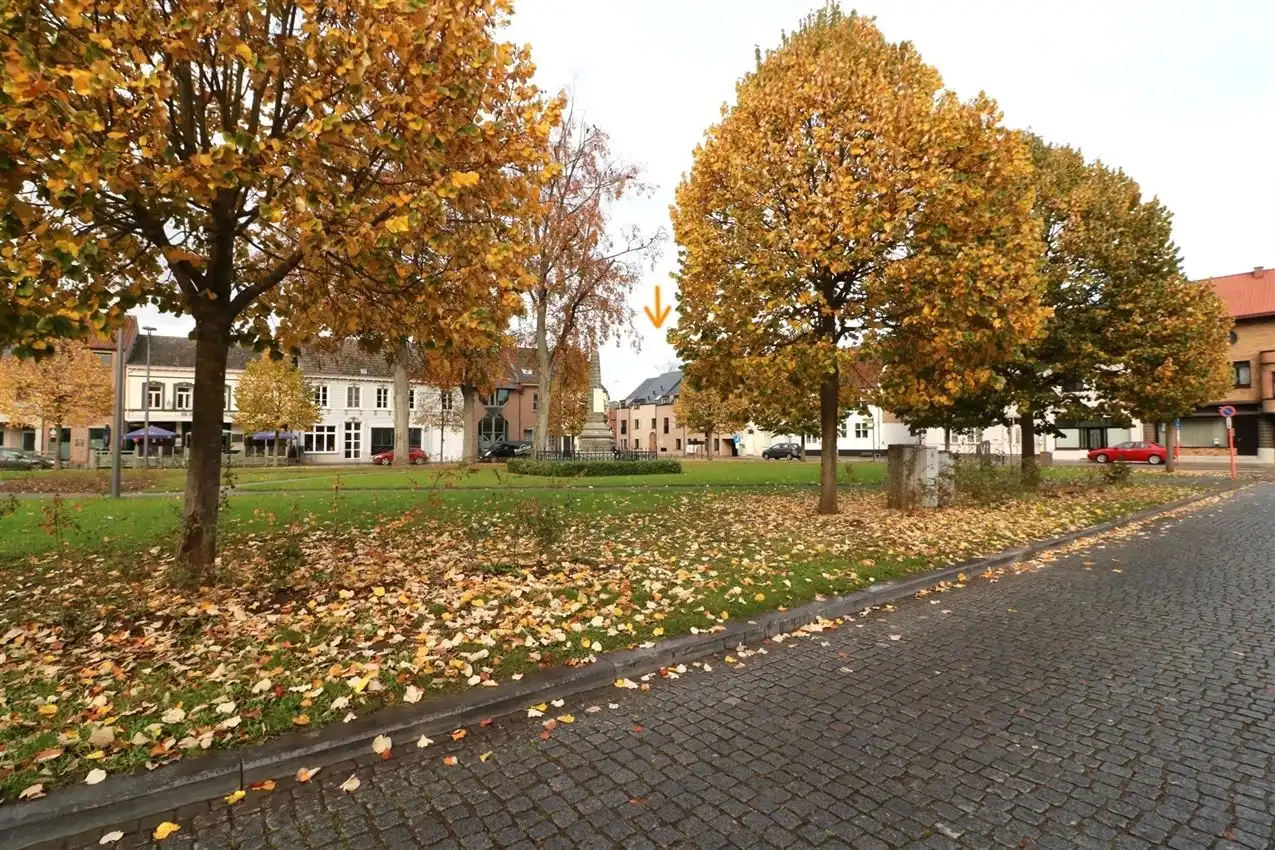 Alles gelijkvloers, oostgericht terras en tuintje, zalig rustig met zicht op maagdentoren foto 29