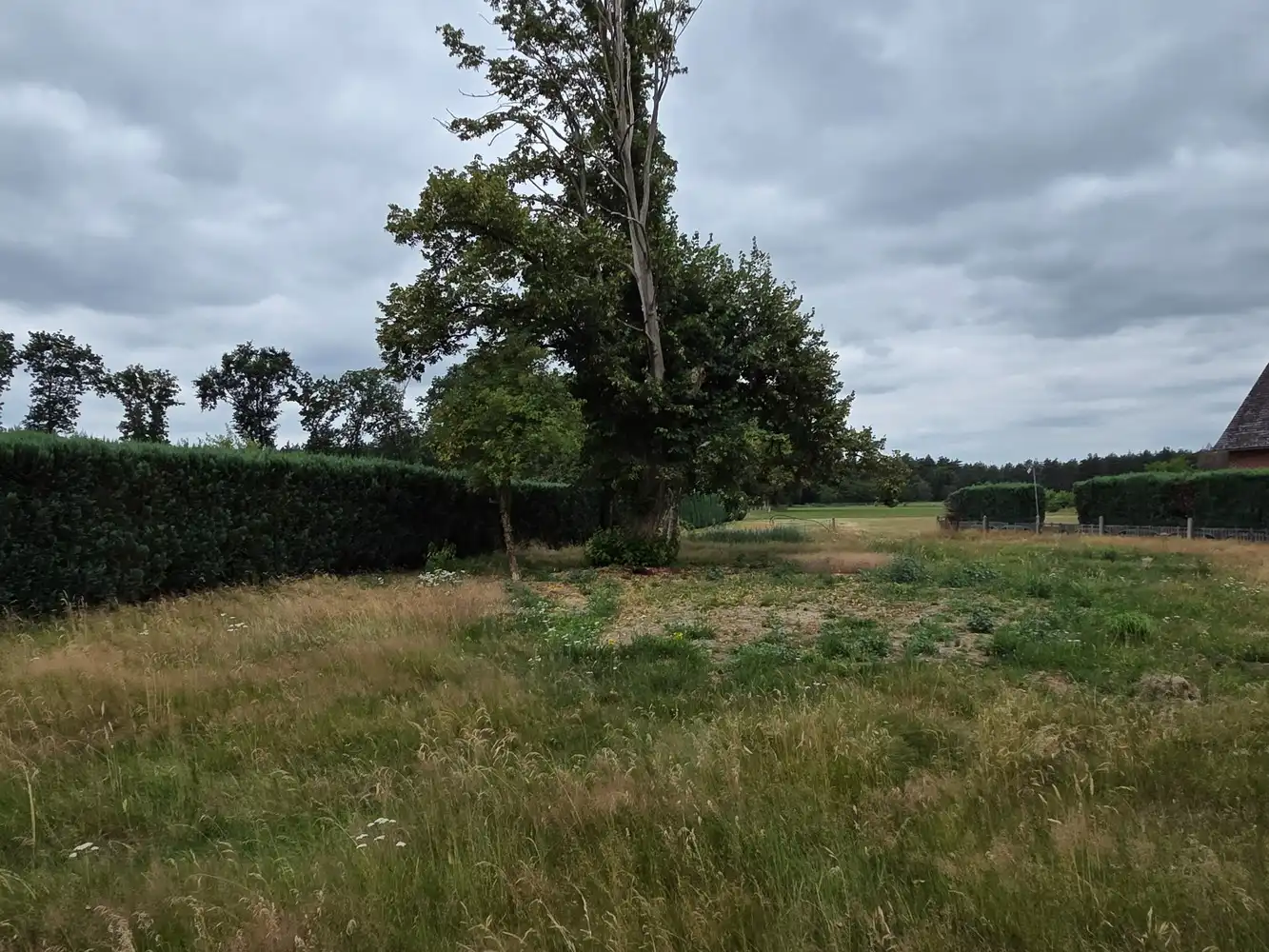 Mooie bouwgrond voor OB met prachtig uitzicht te Hechtel-Eksel foto 4