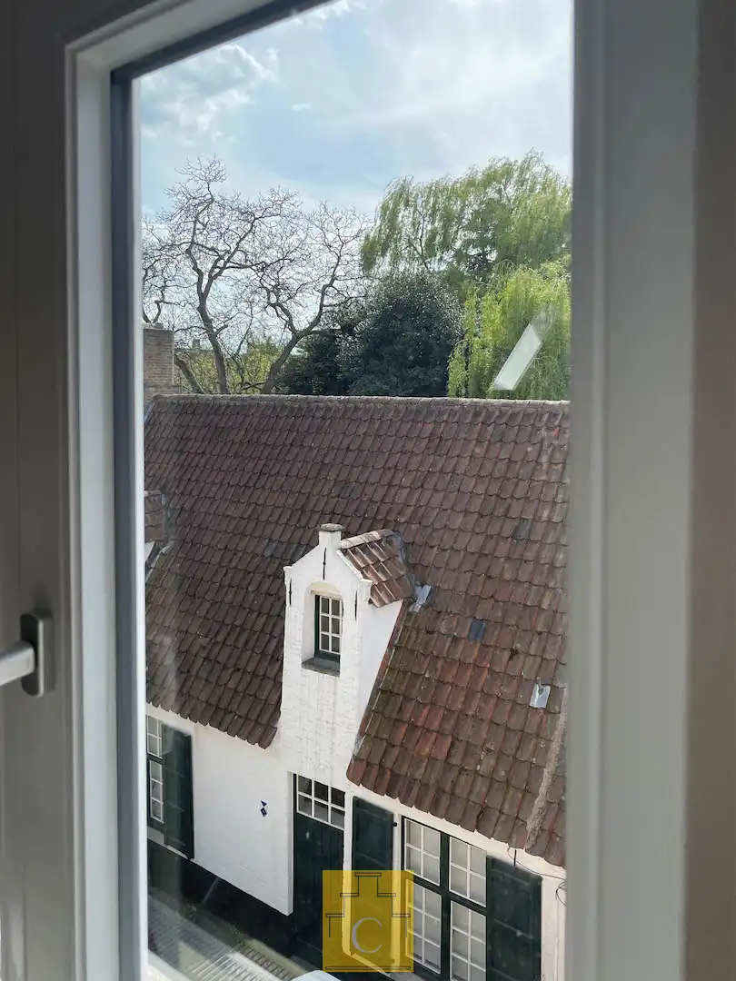 Droomhuis op een toplocatie in Groeninge, palend aan het toekomstig museumpark, zelden geziene high-end afwerking, zonnepanelen en aangename terrastuin foto 25