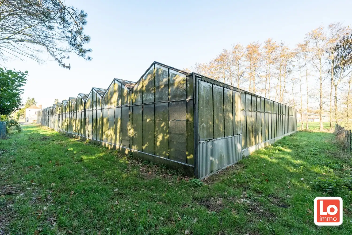 Projectgrond en/of totaalrenovatie op een rustige en landelijke ligging tussen Beervelde en Destelbergen! foto 6