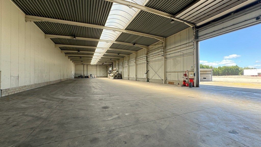 Loods met 1 hectare buitenopslag te huur in Rumst foto 7