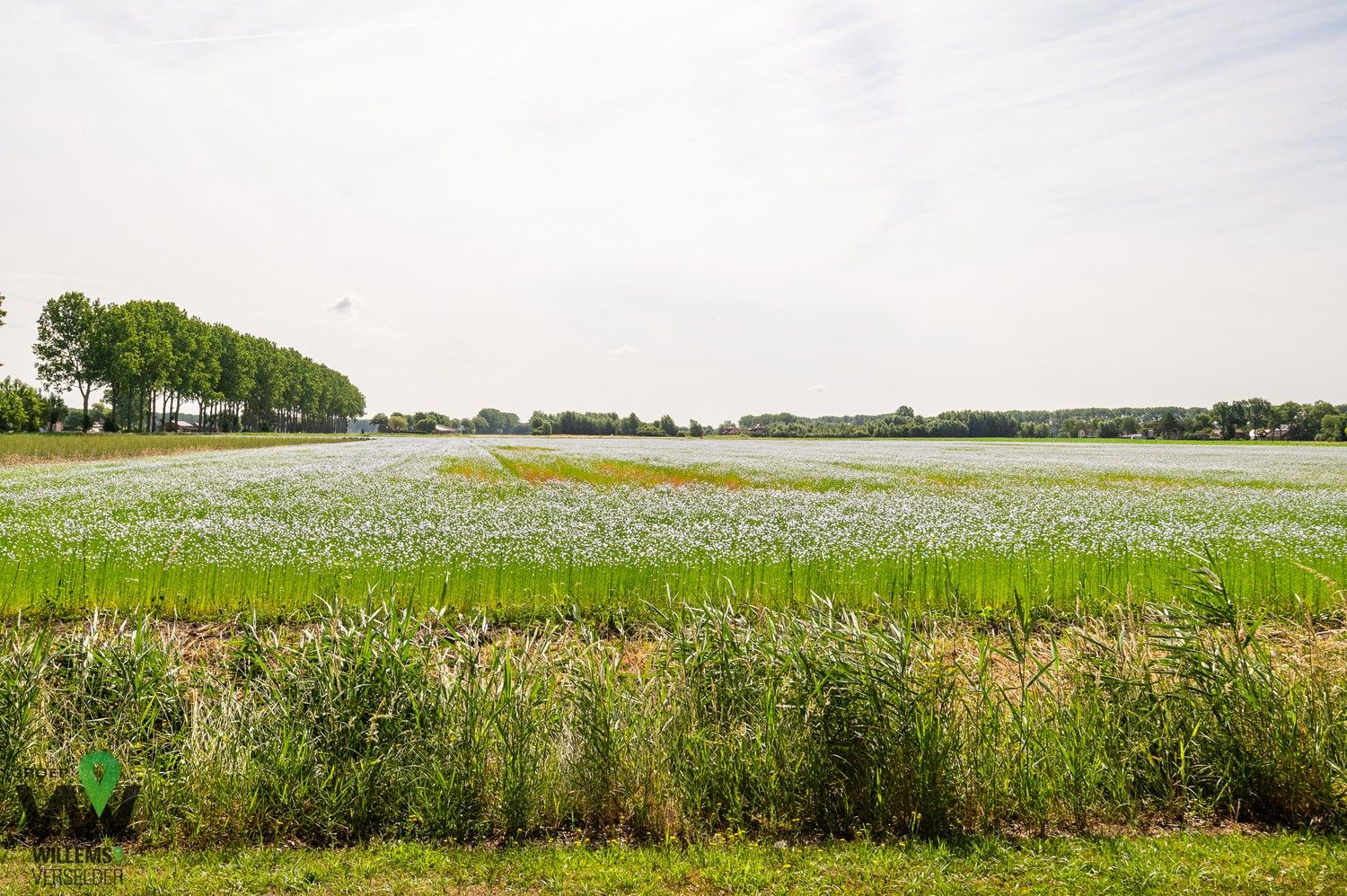 Uniek horeca geheel op 34.000m² in Eede (NL) foto 24