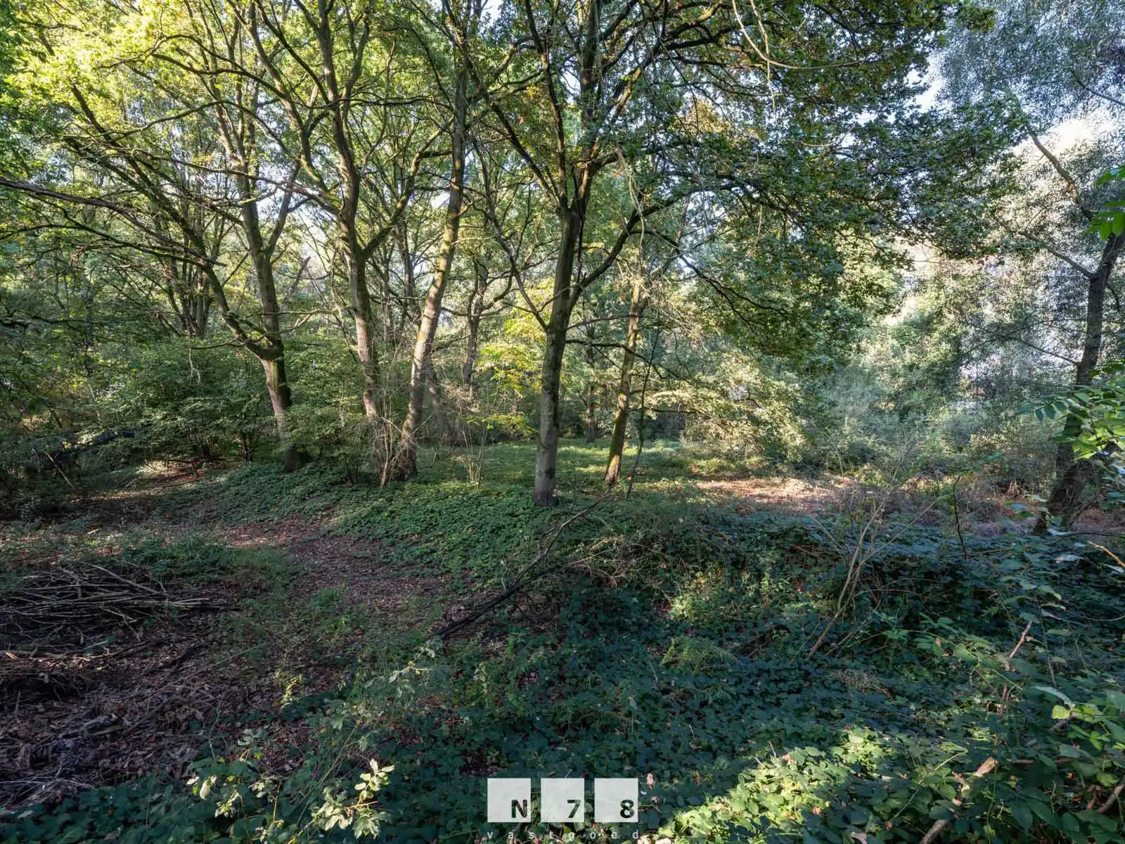 Huis te koop foto 45