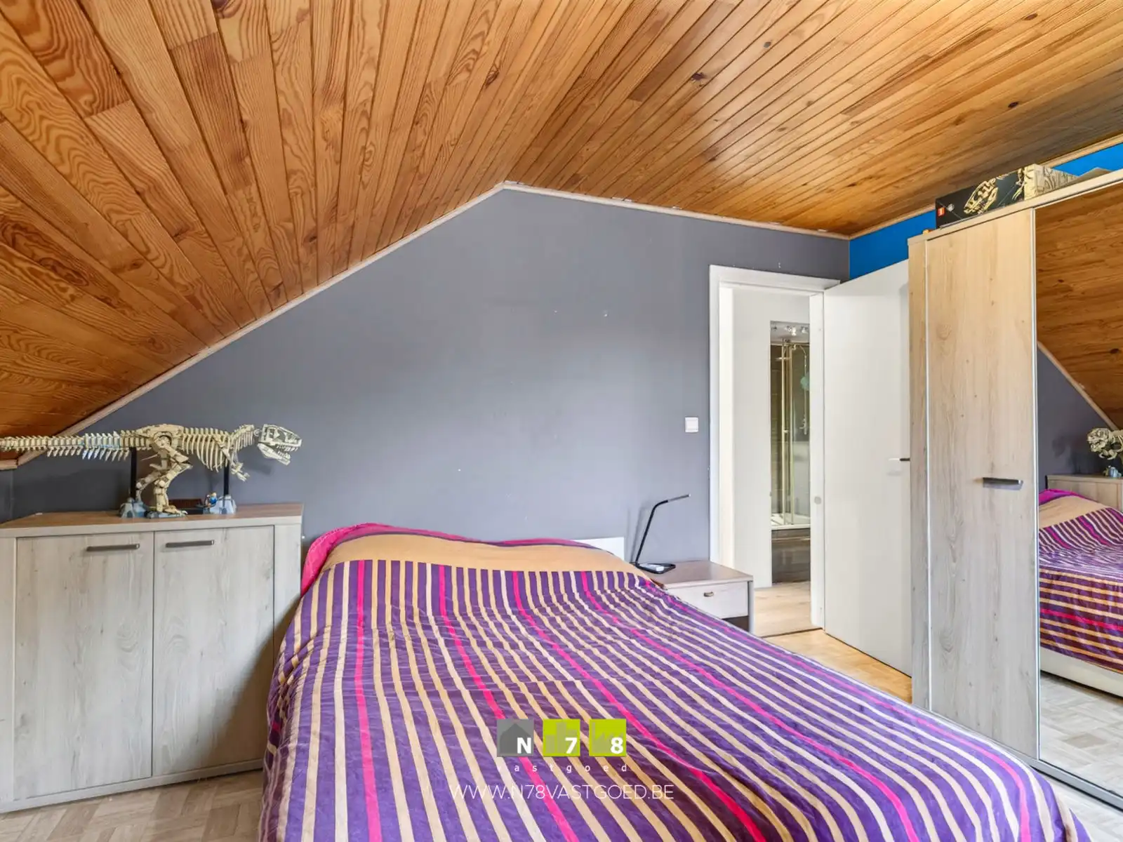 Huis te koop foto 10