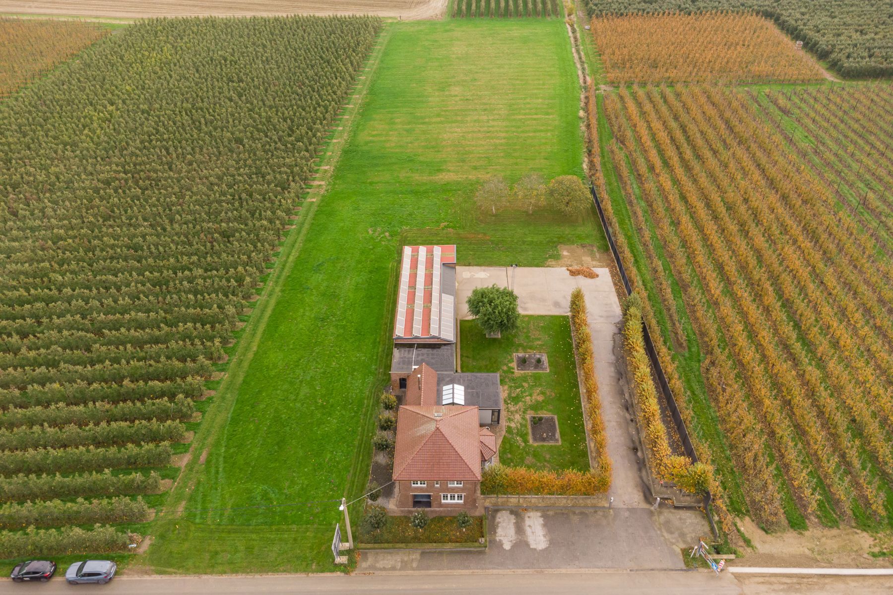 Huis te koop foto 37