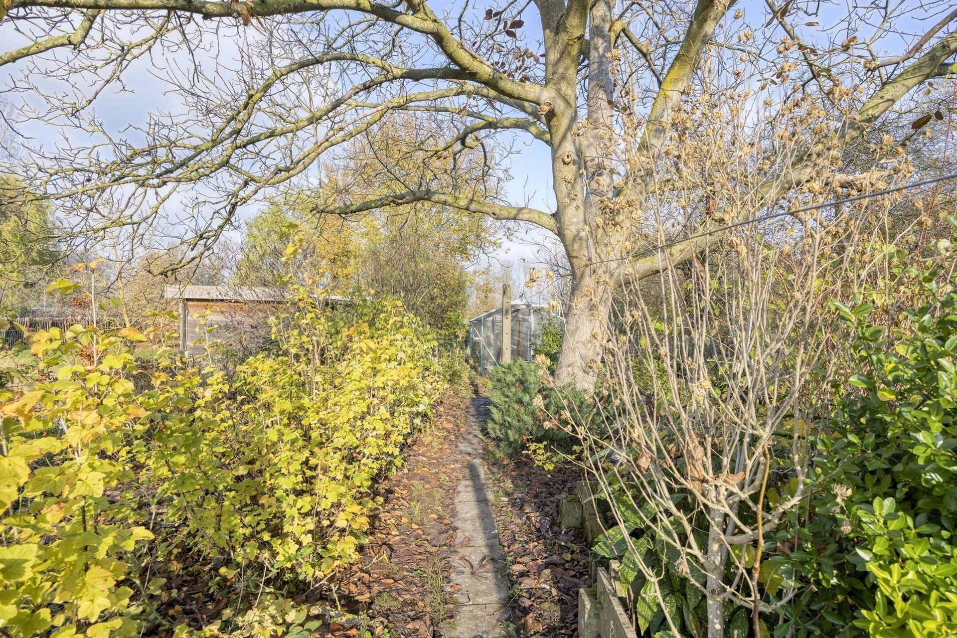 Woning op zeer goede ligging met potentieel foto 26