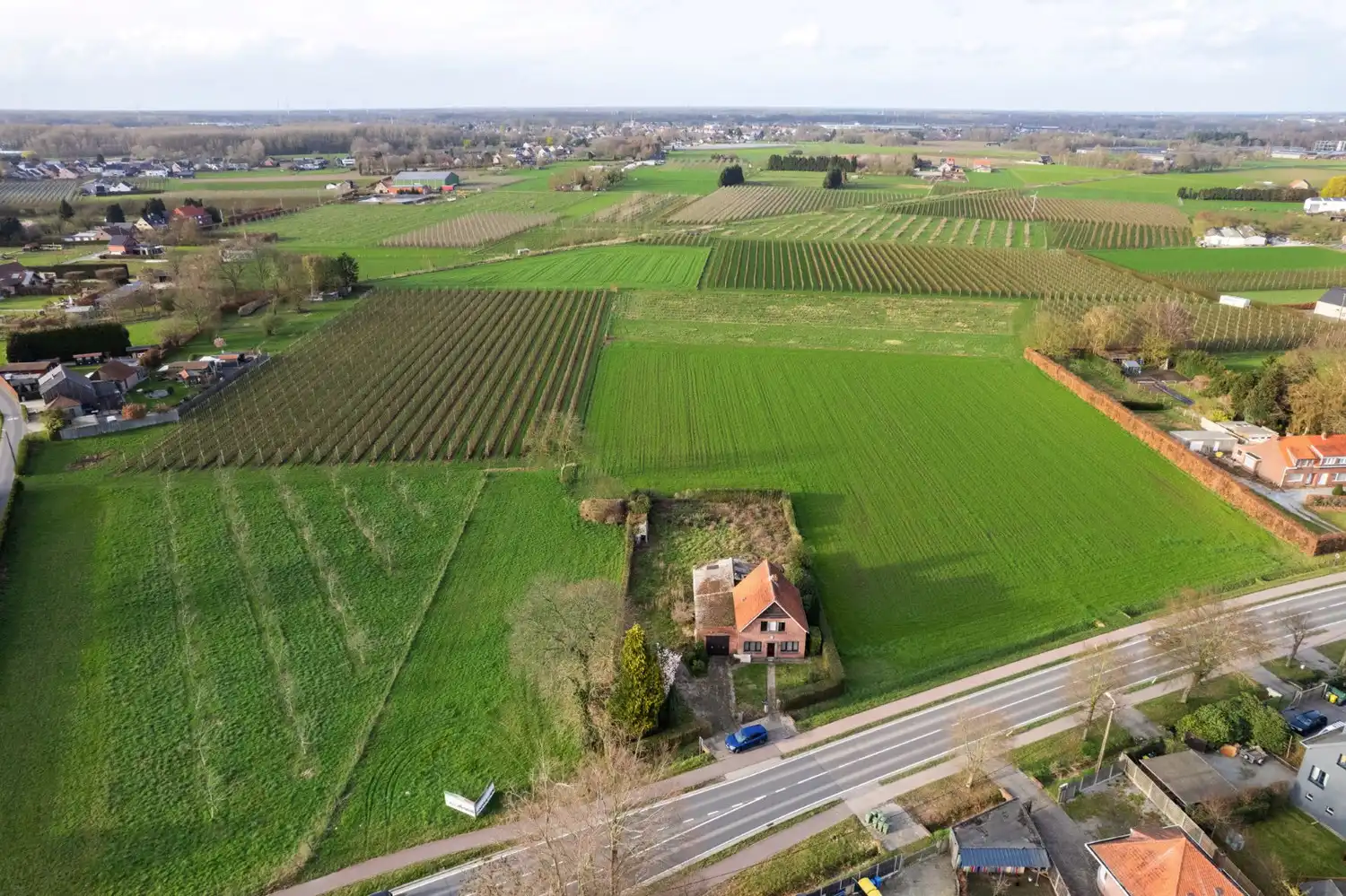 TE RENOVEREN WONING OMGEVEN DOOR AGRARISCH GEBIED! foto 2