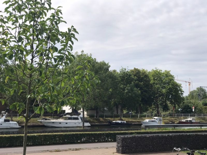 Rustig en zongeoriënteerd 3 slk appartement (153 m²), terras met een groen en weids uitzicht over het Kanaal Gent-Oostende, kelder met private autostaanplaats - op wandelafstand van AZ Sint Jan Campus en op 3 km  van het centrum van Brugge. foto 31