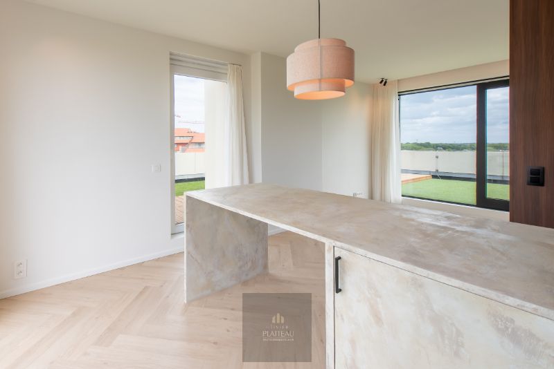 Vernieuwd dakappartement met zeer groot dakterras. foto 12