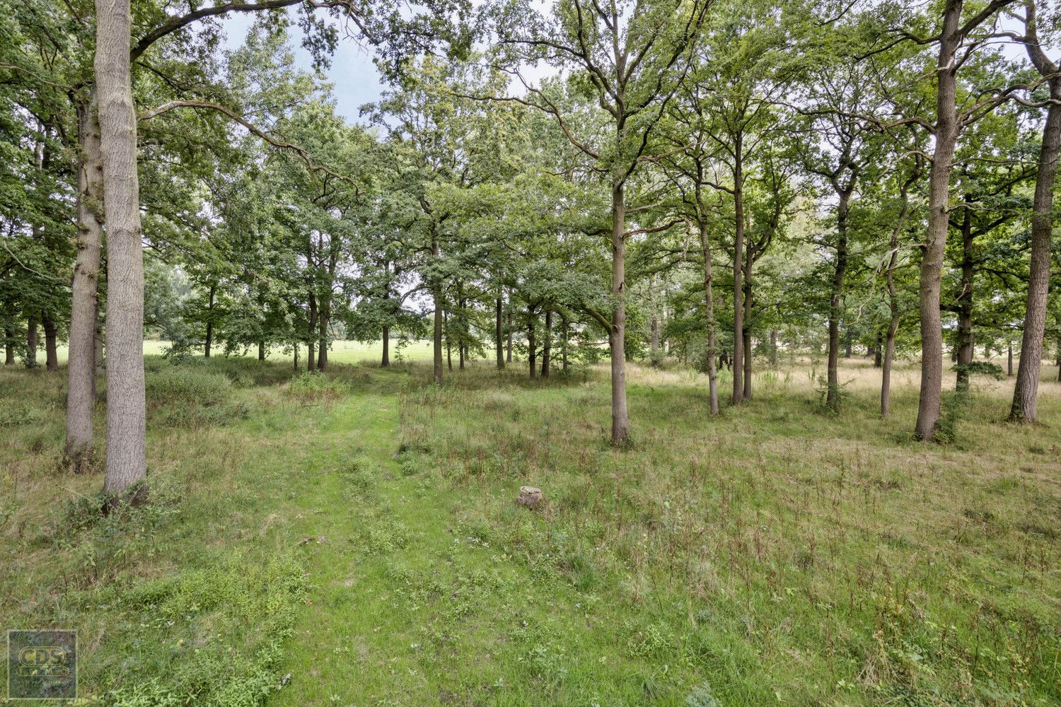 Landgoed foto 11