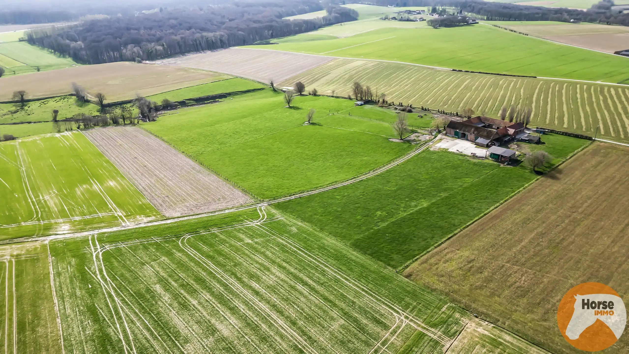 MAARKEDAL - Vierkantshoeve 1,7HA, extra grond mogelijk foto 3
