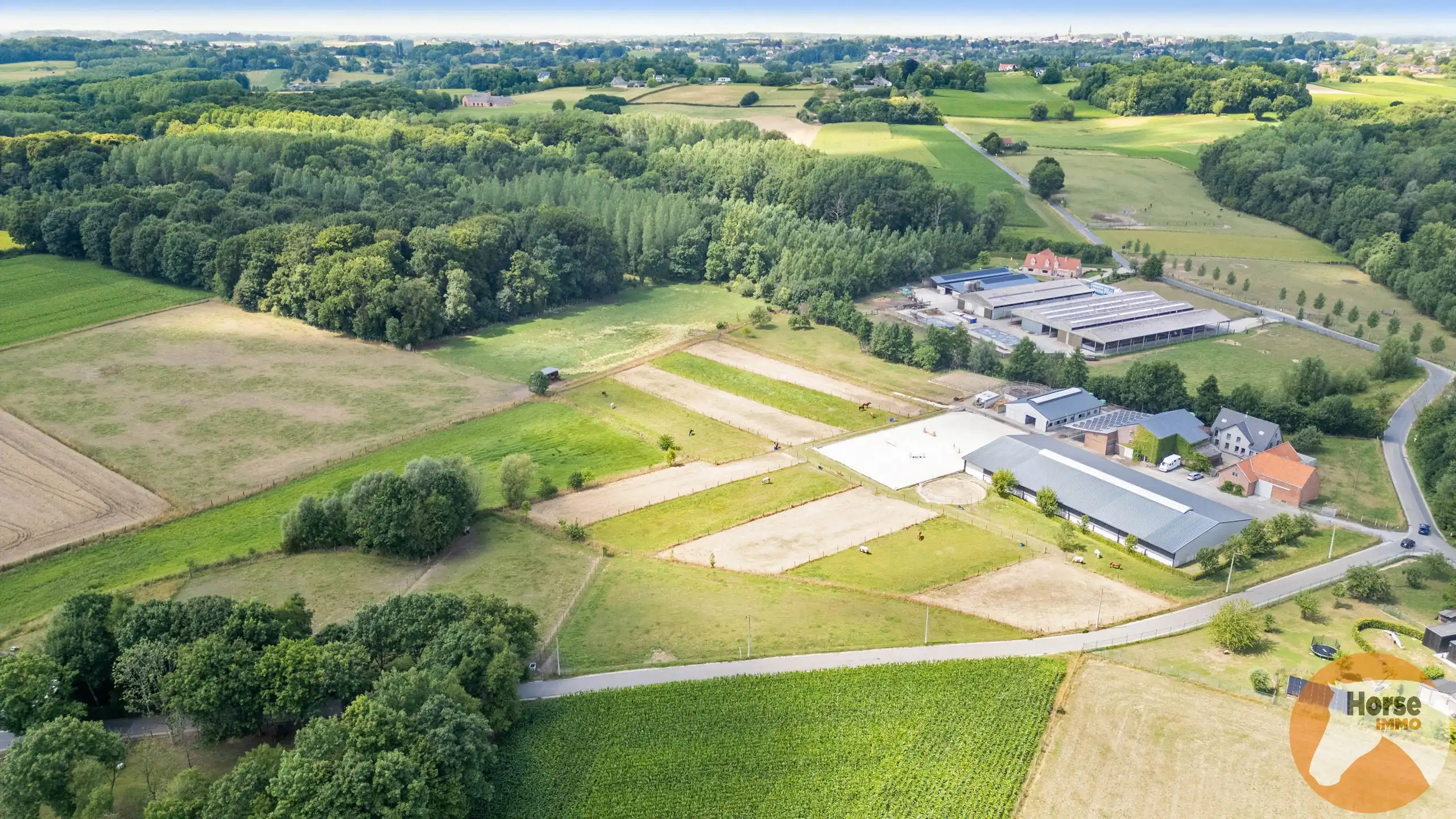 DILBEEK - Unieke paardeninfrastructuur op +-5,6ha foto 26