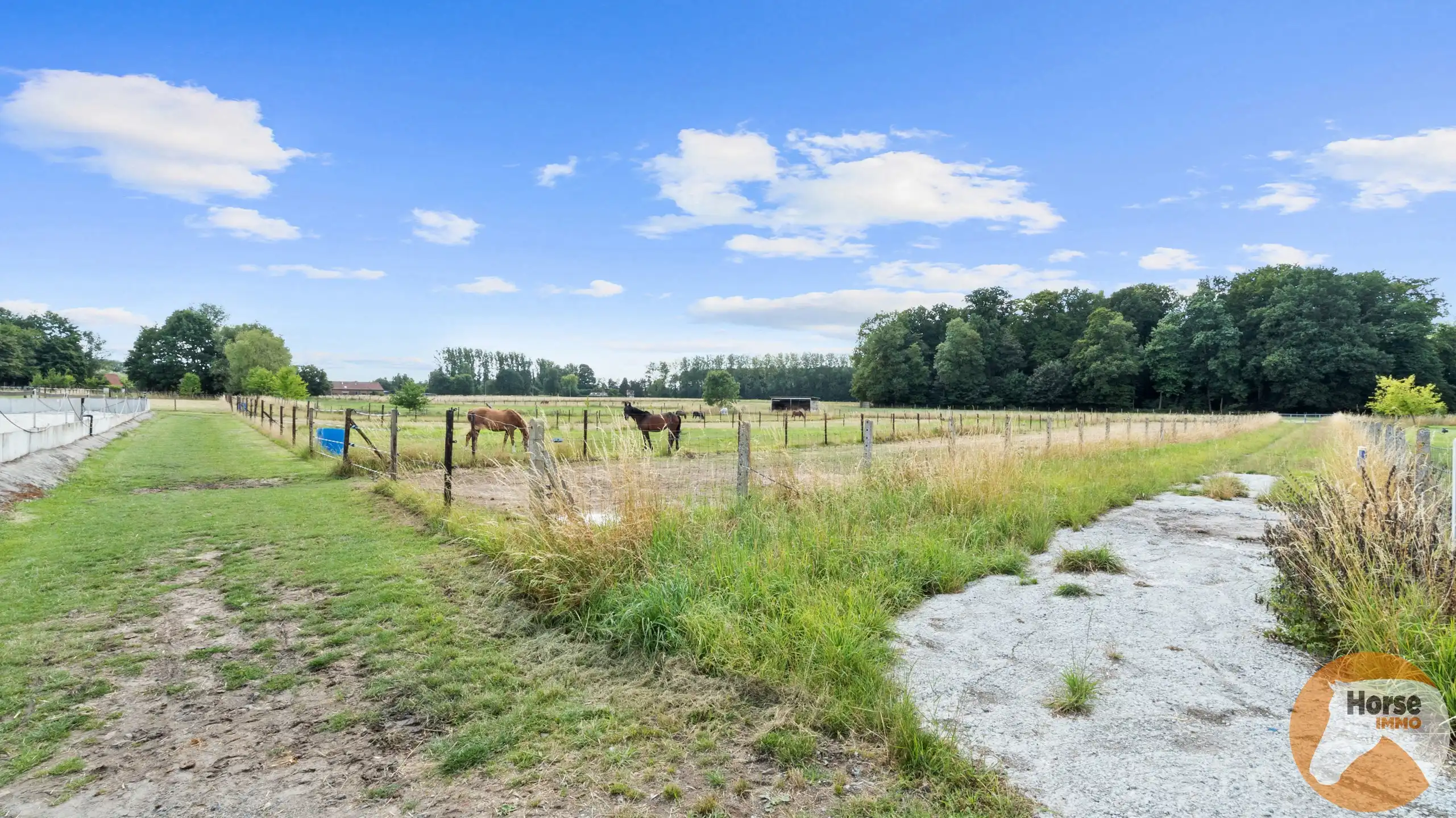DILBEEK - Unieke paardeninfrastructuur op +-5,6ha foto 16
