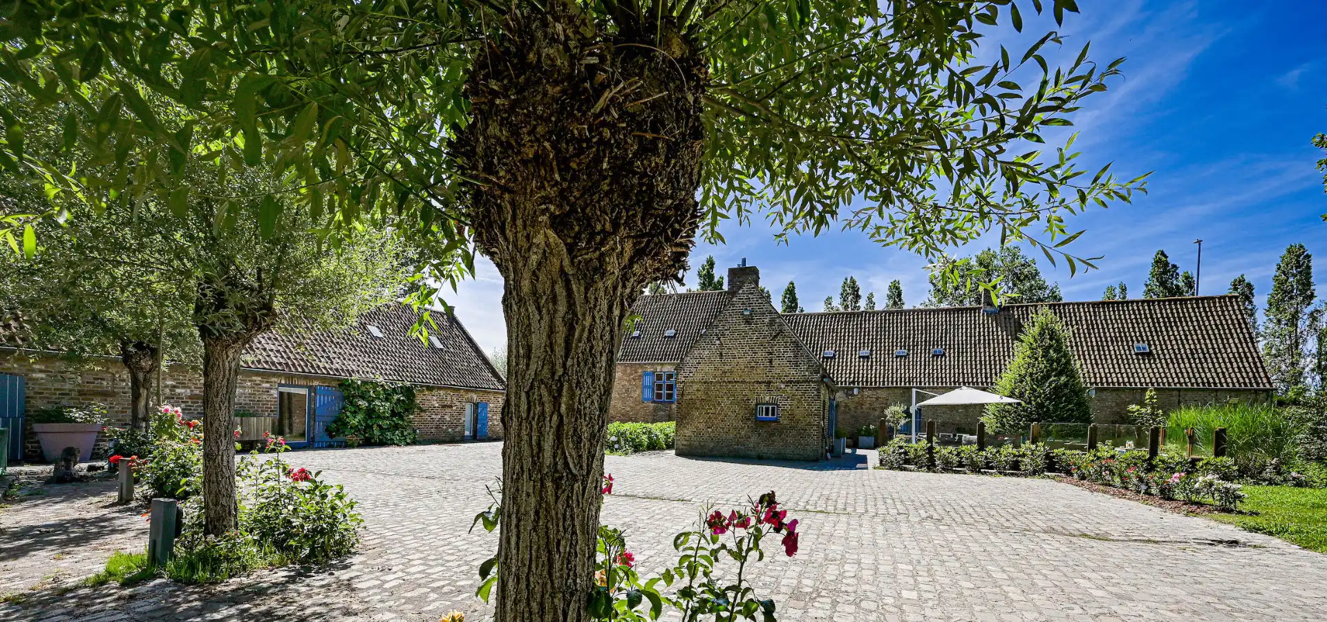 De Rozeblomme, 16e eeuwse abdijhoeve met vergunning voor luxueuse B & B in bijgebouw, circa 2,5 ha foto 33