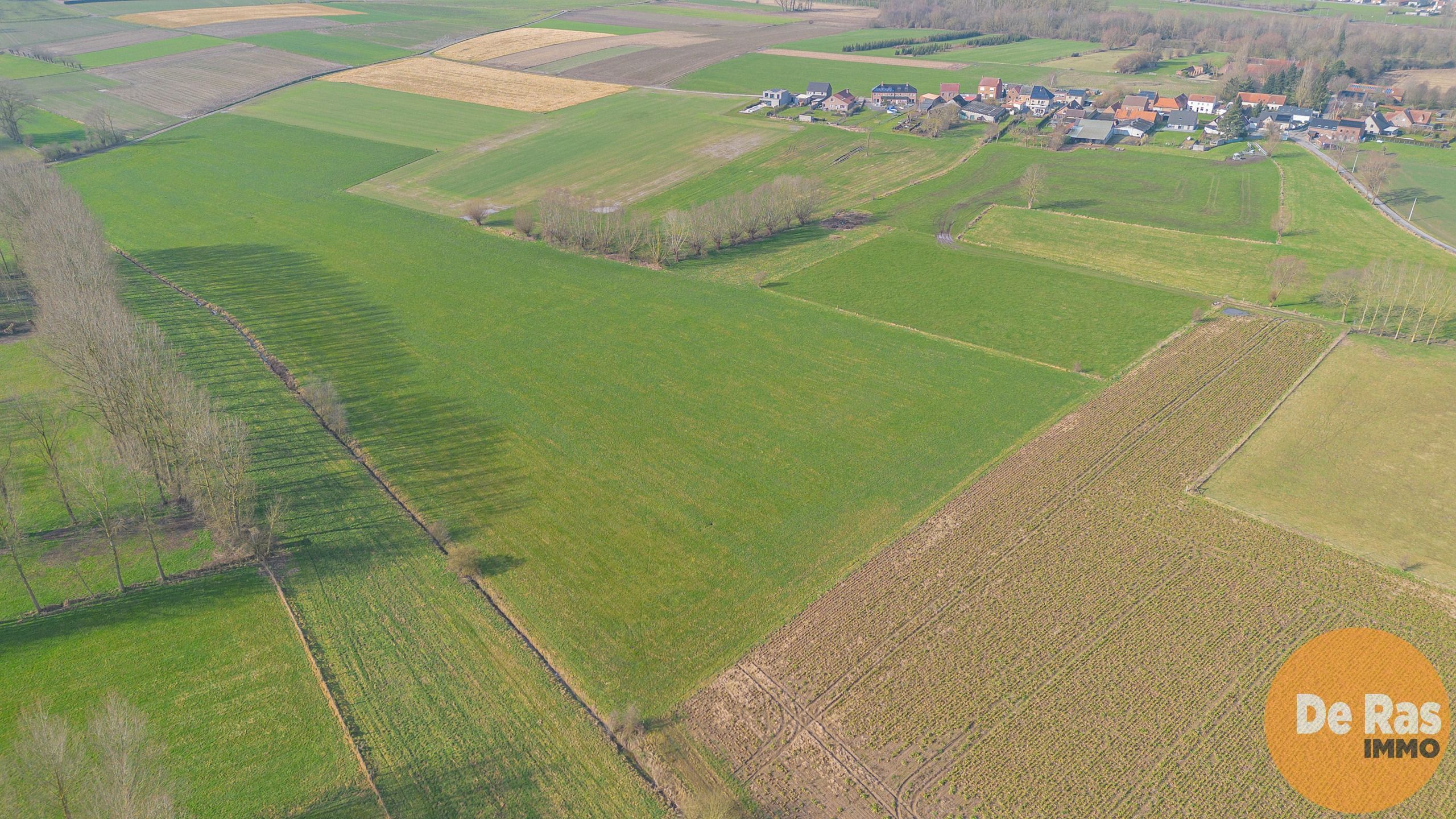 HILLEGEM – Landbouwgronden te koop foto 4