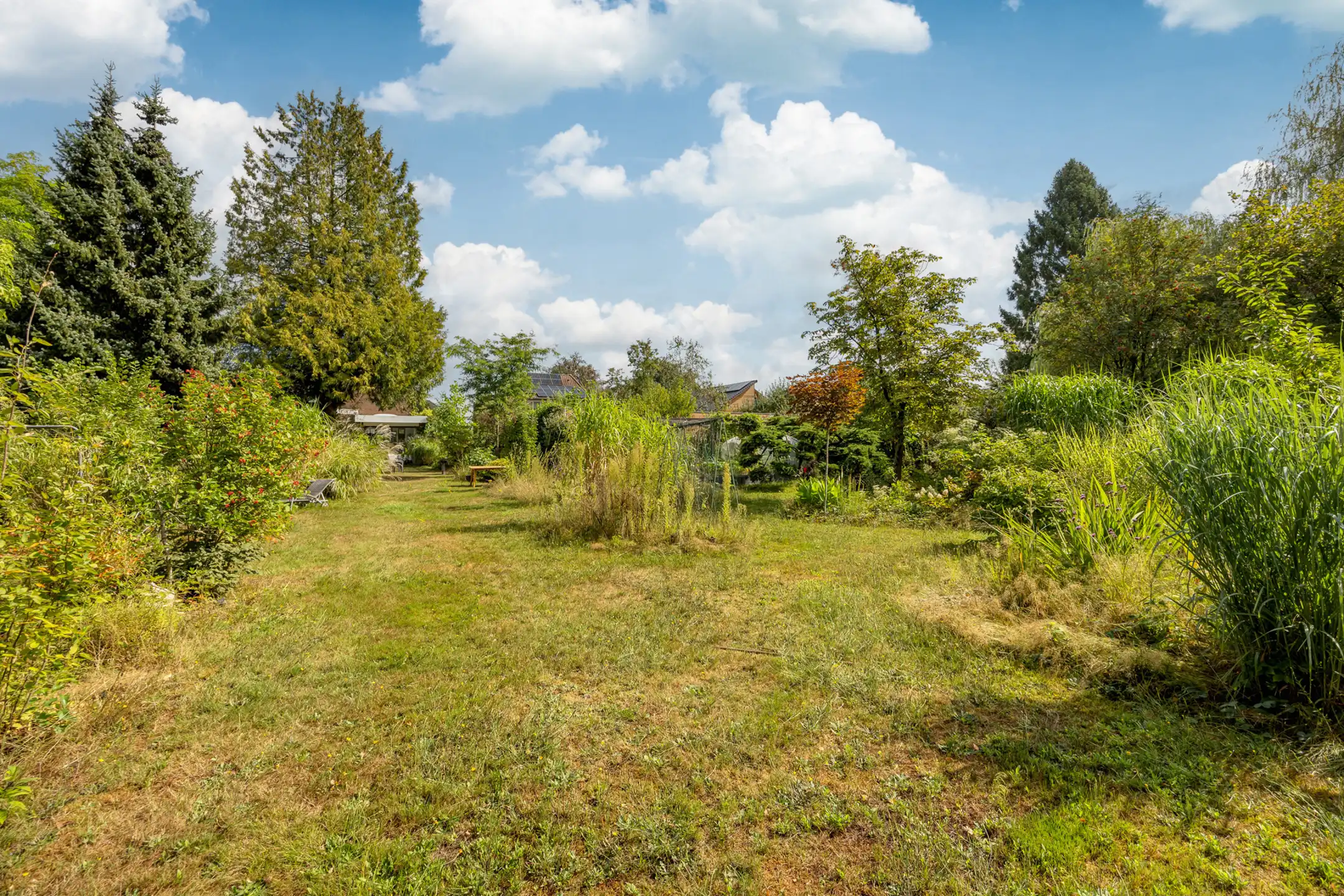 Karaktervolle woning op uitzonderlijk perceel  foto 2