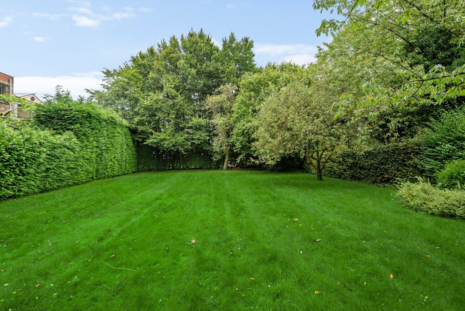 Bouwgrond voor ambachtelijke bedrijven & KMO's met op heden een zonevreemde woning te Wommelgem. foto 15