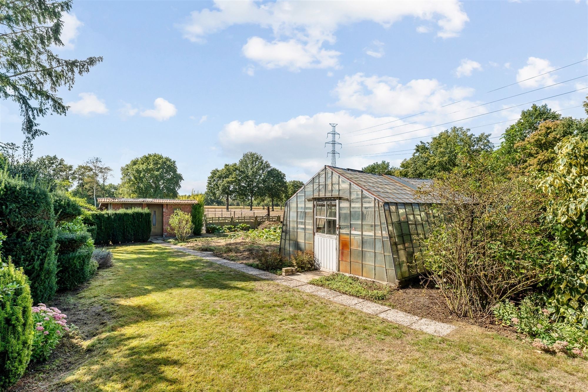 OP TE FRISSEN WONING MET 3 SLAAPKAMERS, SUPER RUSTIG GELEGEN OP EEN PERCEEL VAN 10A TEMIDDEN VAN HET GROEN TE HAM foto 21