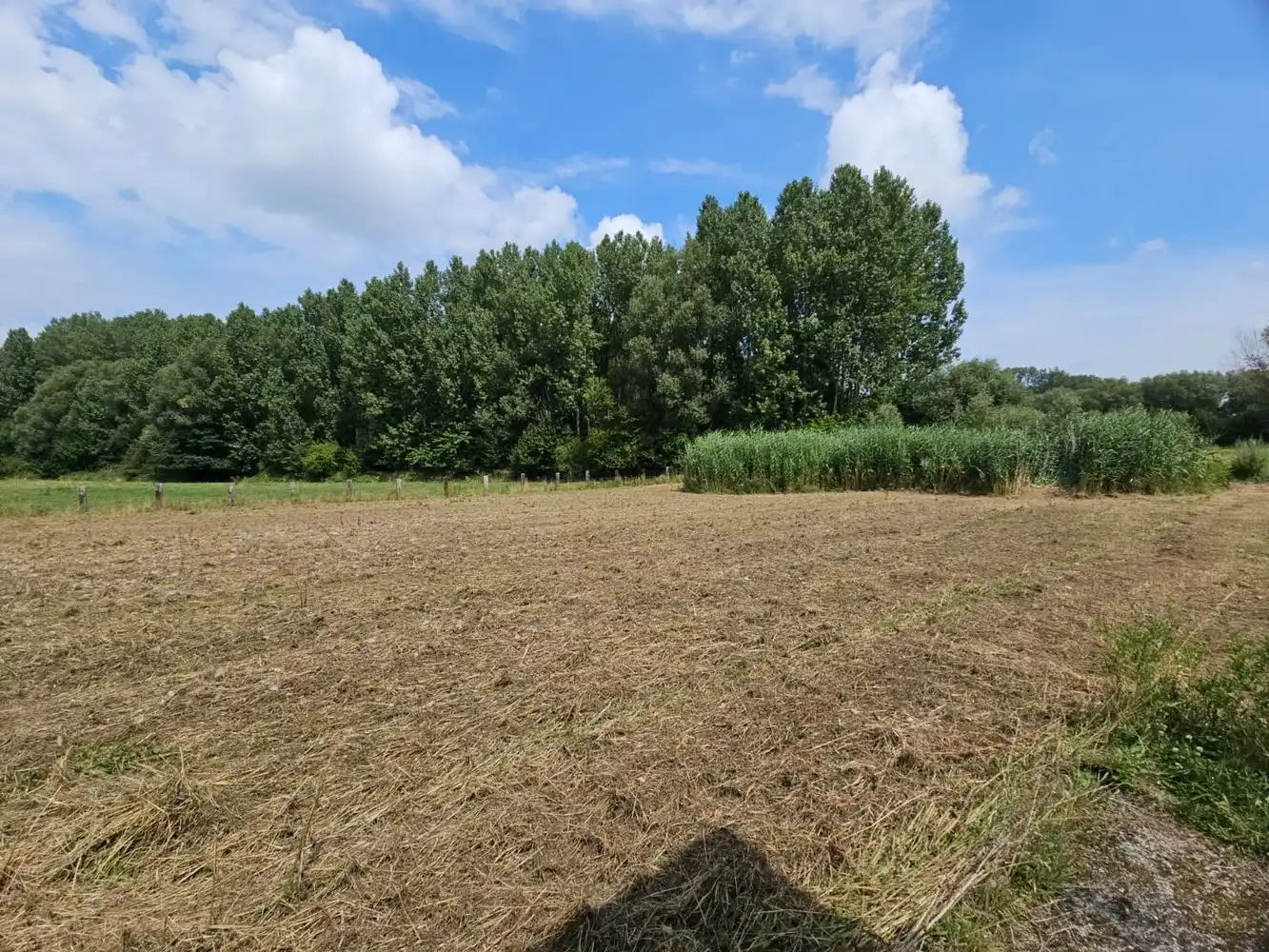 Prachtig gelegen, verder te vernieuwen landgebouw (omg. Congoberg) foto 15