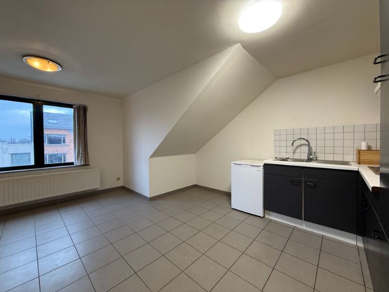 Gezellig appartement nabij centrum Dendermonde foto 3