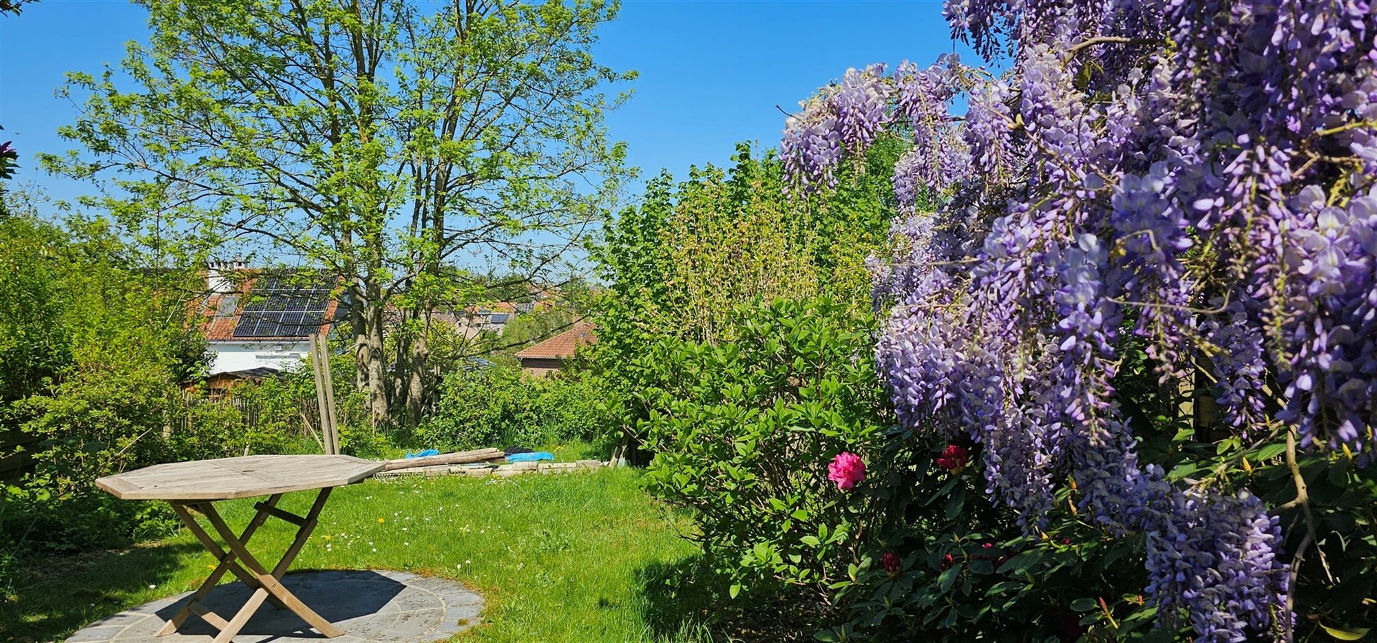 Aangename bel-etage woning met tuin foto 3