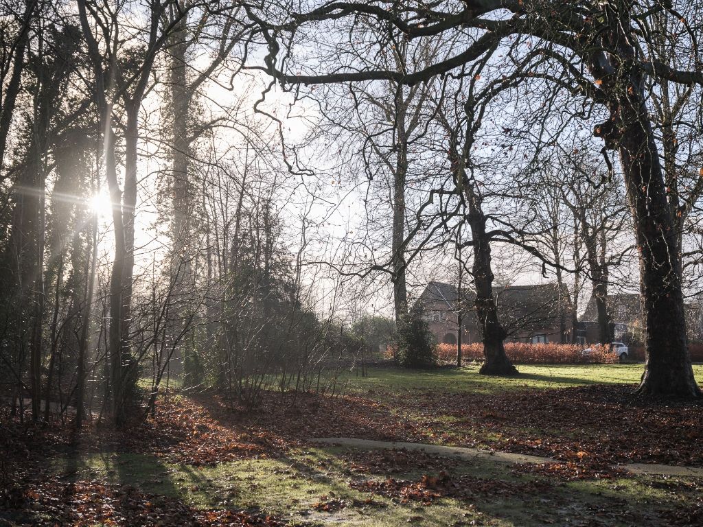 Vrijstaande villa (te renoveren) op slechts 50 meter van de Leie foto 12