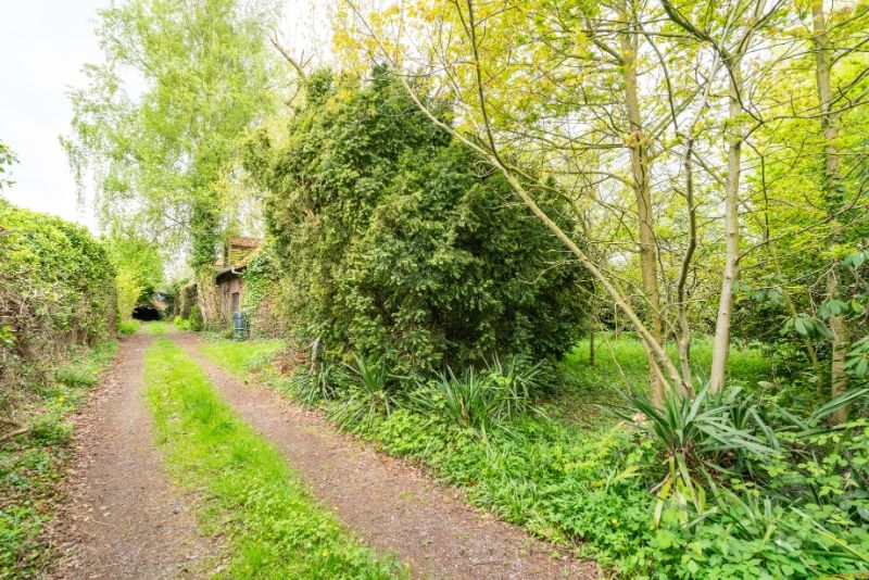 Eigendom 2563m² grondopp - 27m straatbreedte !!! foto 15