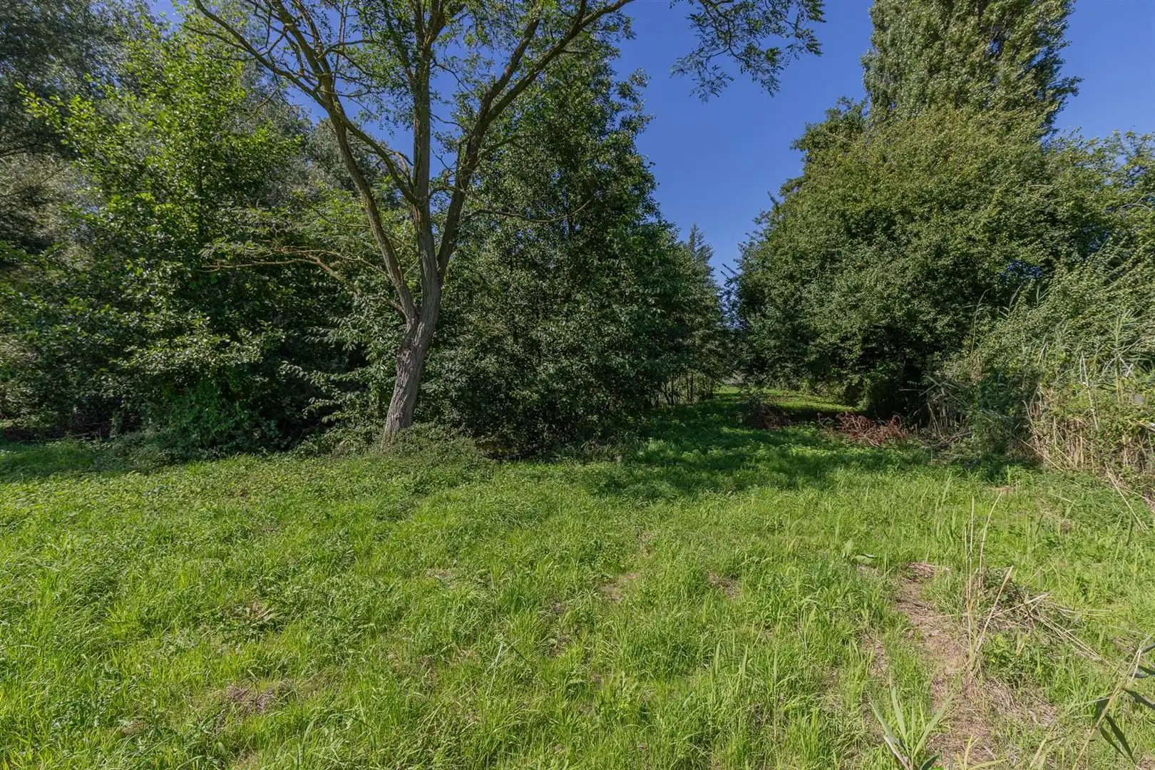 Exclusieve bouwgrond te koop Sint-Onolfsdijk, Dendermonde foto 10