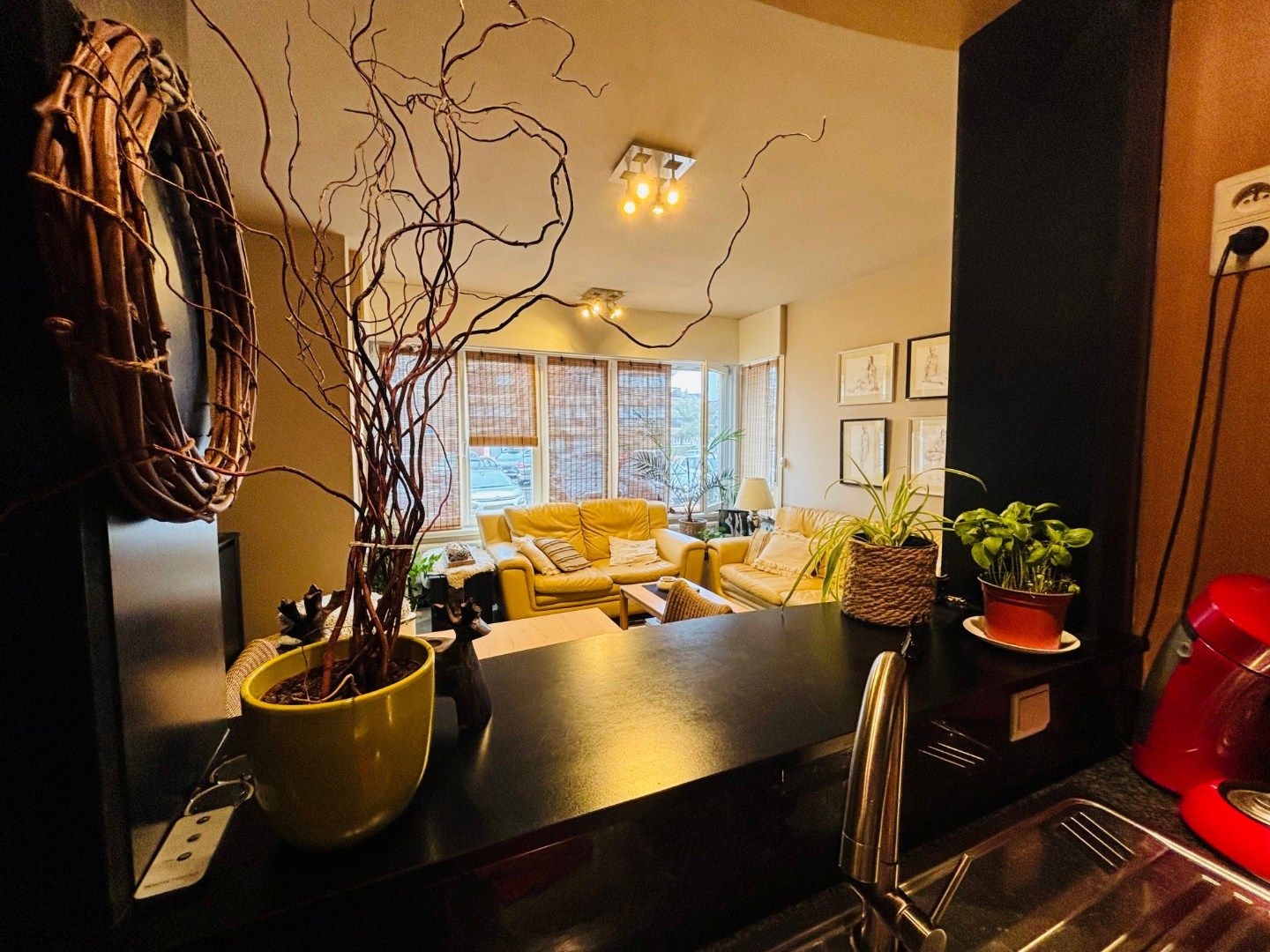 GELIJKVLOERSAPPARTEMENT OP VOETSTAP VAN DE ZEELIJN  foto 5