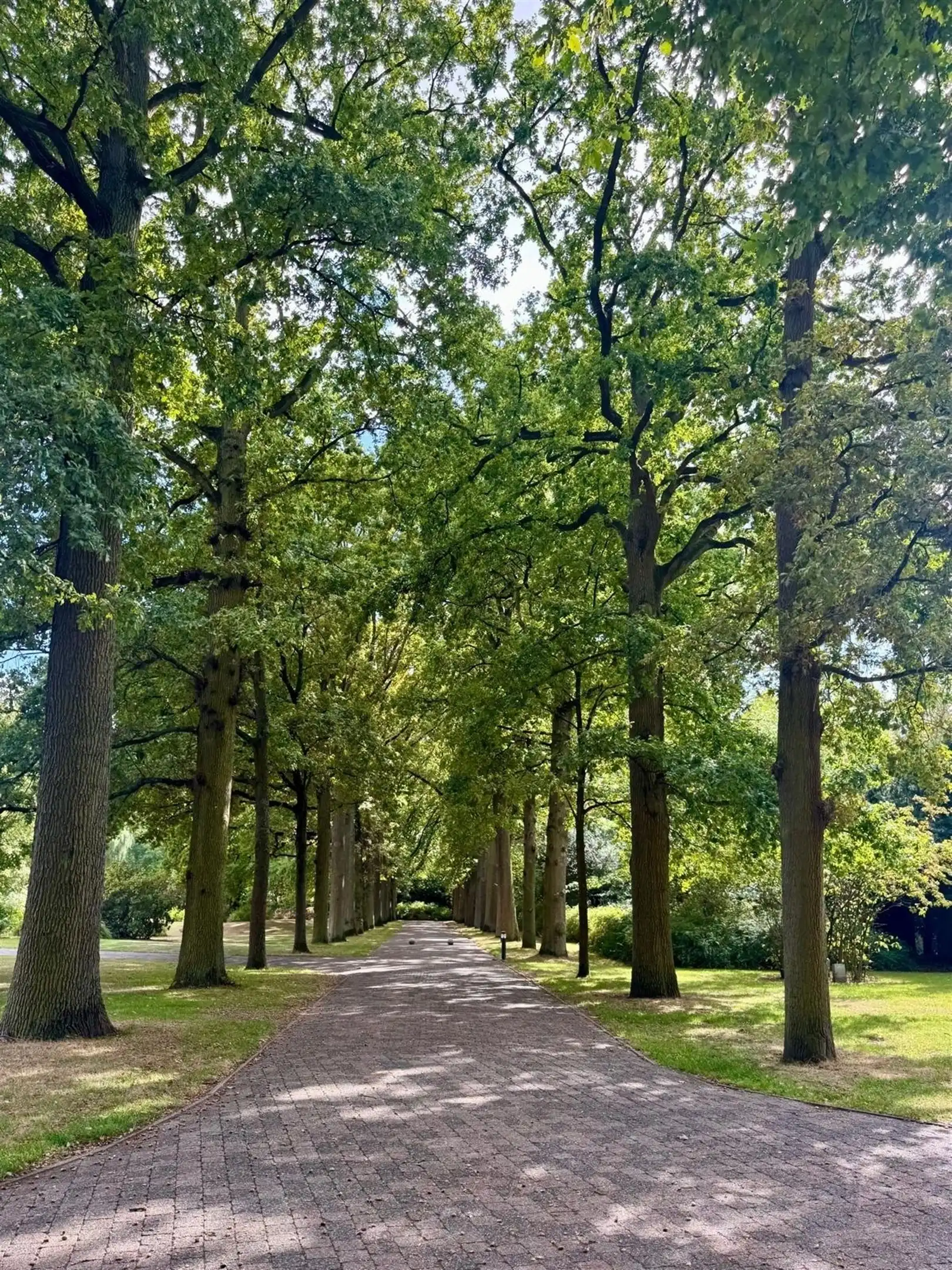 Exclusief gelijkvloersappartement met terrassen in villapark De List foto 27