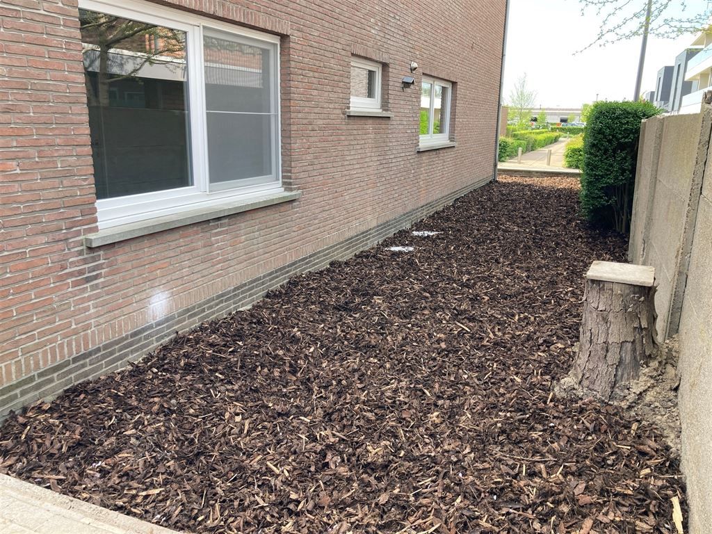 Prachtig gerenoveerd gelijkvloers appartement met 2 kamers foto 17