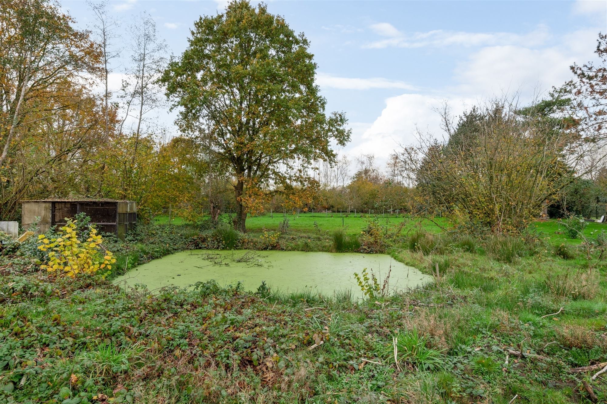 Grondig te renoveren woning te Sint-Katelijne-Waver foto 10