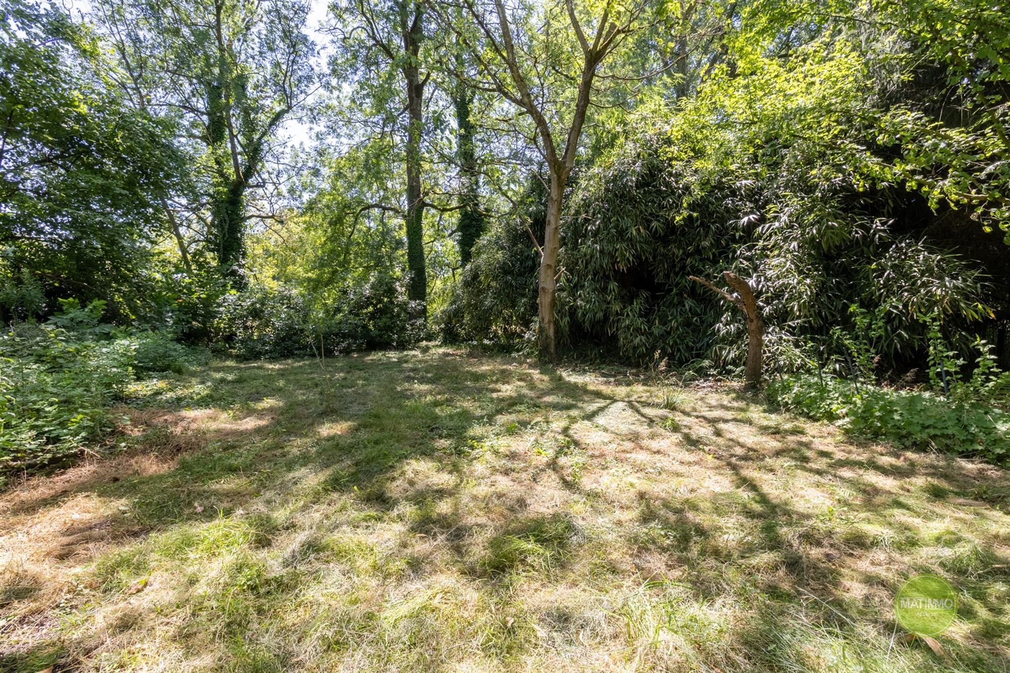 Charmante karakterwoning op een perceel van 2900 m2 in Mol foto 26