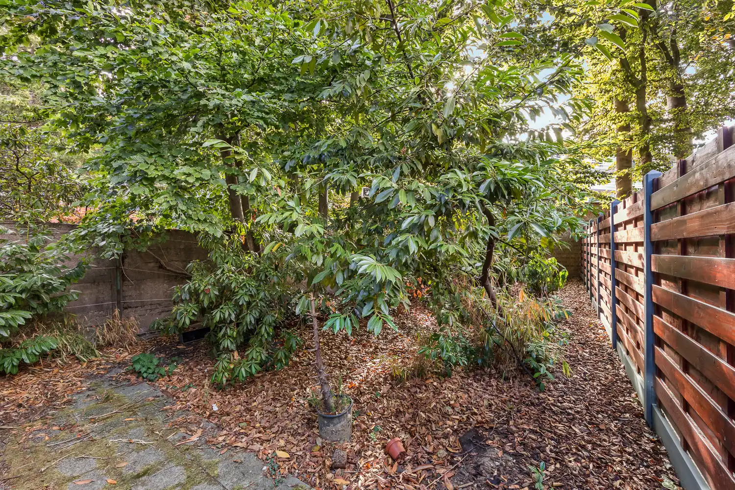 Riante seventies dokterswoning met terras en tuin op gegeerde locatie foto 14