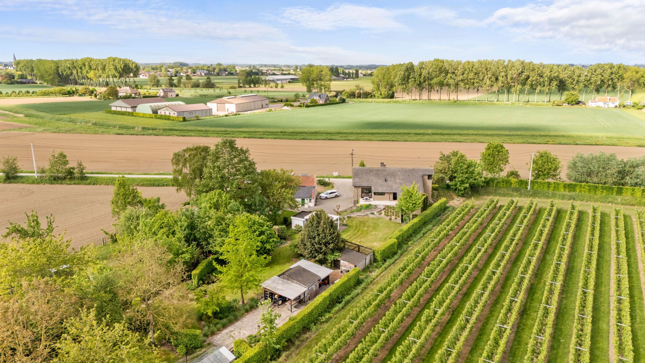 Open bebouwing met 360° landelijk zicht en 2 garages foto 28