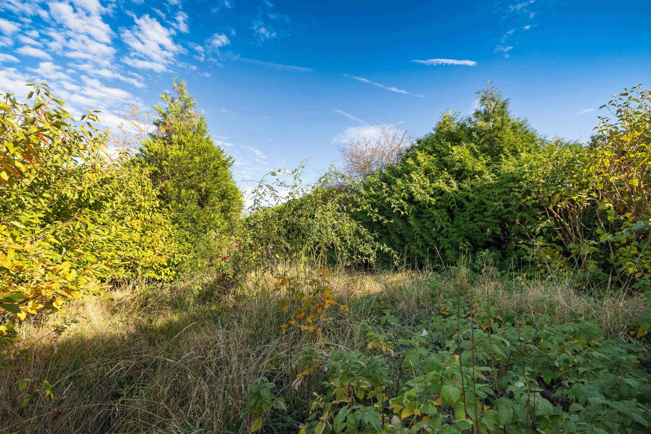 Huis met 3 slaapkamers van ± 175 m² foto 8