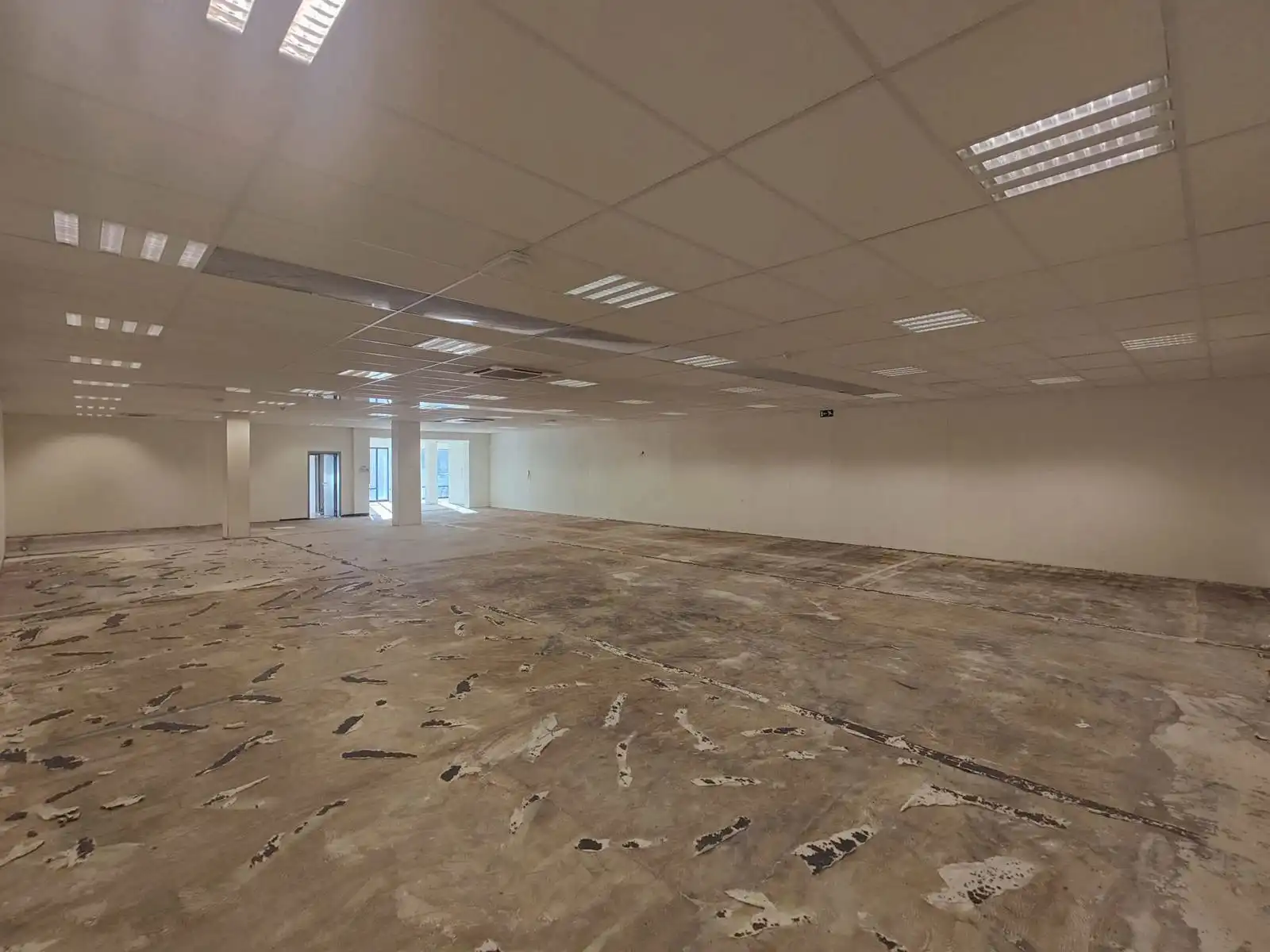 Handelspand op topligging langs Parklaan – Sint-Niklaas foto 8