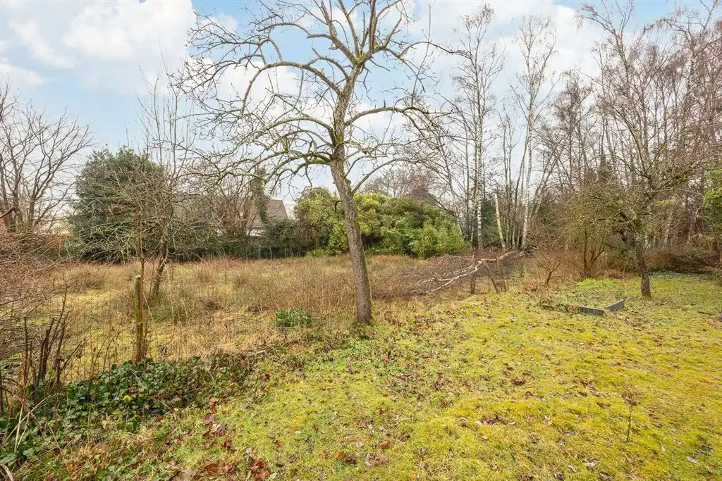 Langgevelhoeve op ca. 5 ha. vlak bij het dorp van Schilde, inclusief enkele bouwgronden. foto 32