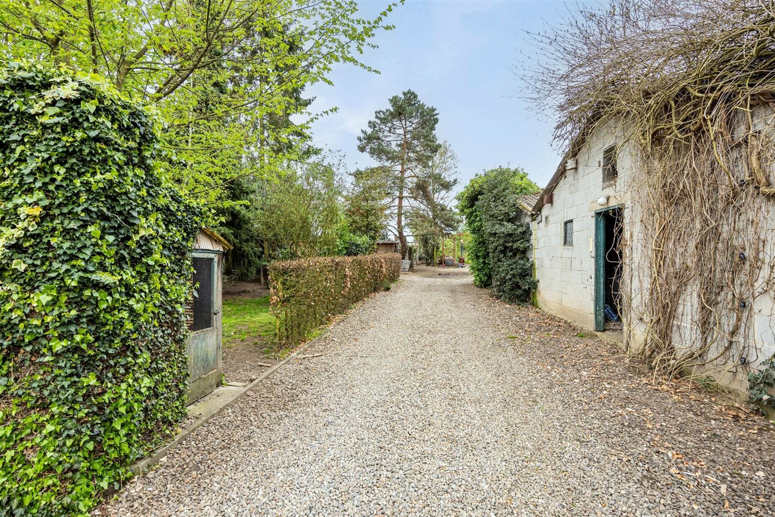 Prachtige 18e-eeuwse hoeve in Maasstijl gelegen in de dorpskern van Ophoven op een perceel van 27a50ca, genaamd "Huize Reynders".  foto 35