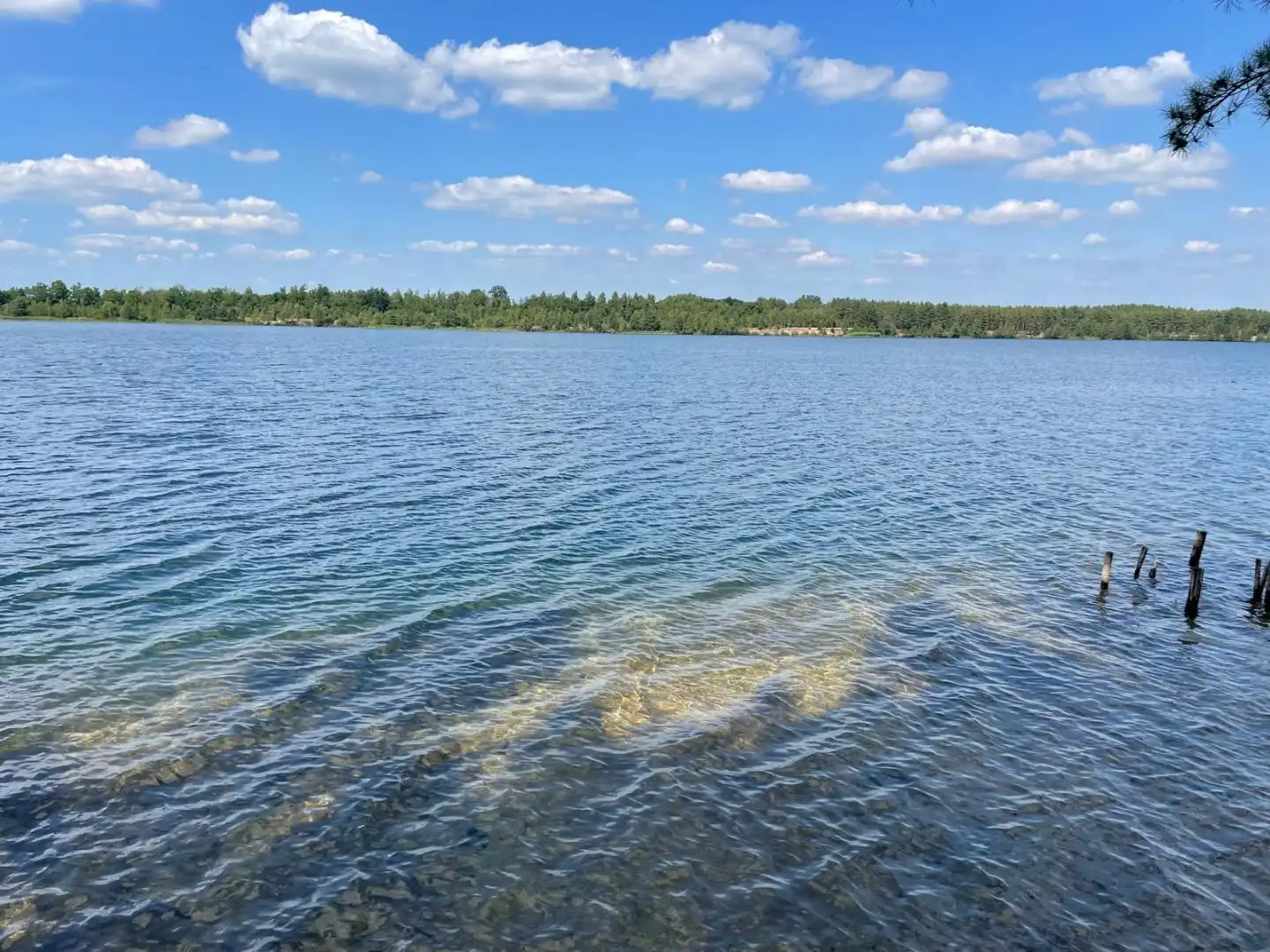 Dubbele woonst op 3000m²  met uitzicht op natuur en water foto 9