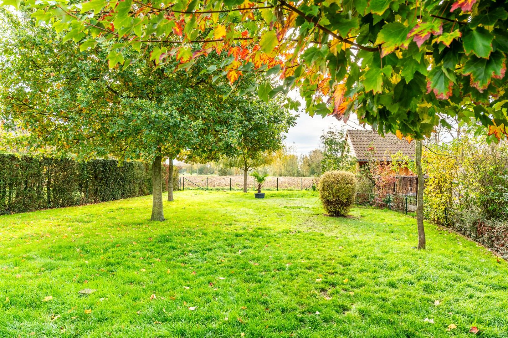 Charmante hoeve met grote tuin foto 8