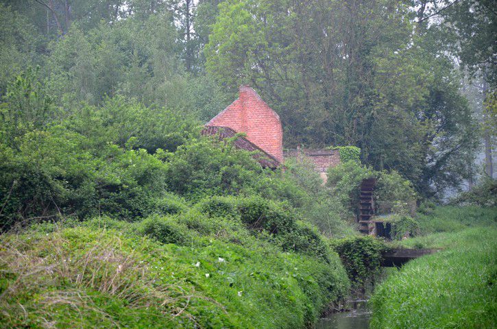 De Wintershovenmolen: een historische parel op 1h 80a foto 15