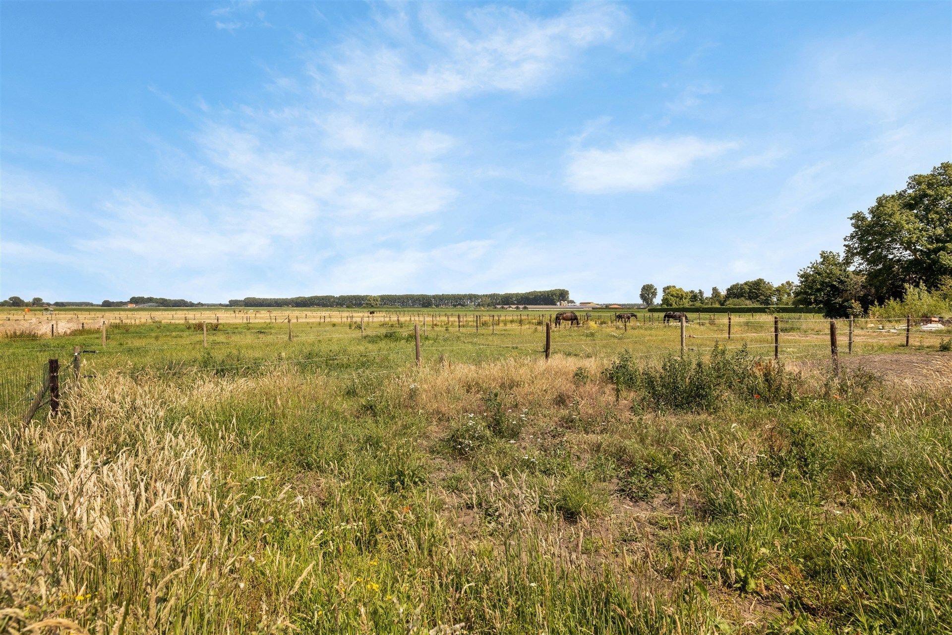 Prachtige tweewoonst met weilanden in de groene omgeving Heikant (NL) foto 71