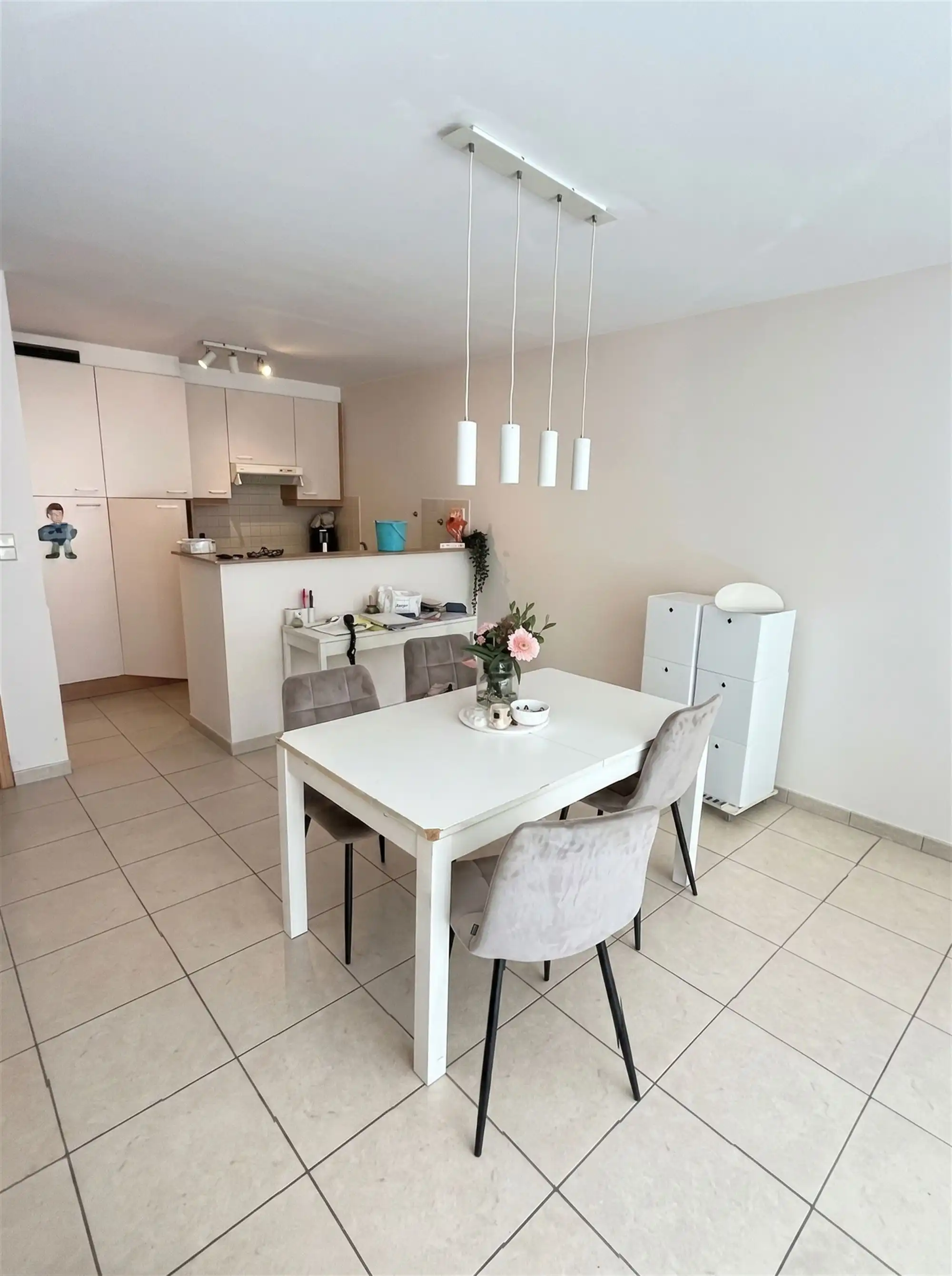 Gelijkvloersappartement met terras foto 7