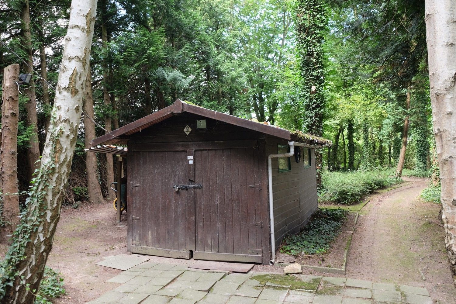 Uniek perceel met een charmante vakantiewoning midden in de natuur omgeven door een uitzonderlijke collectie van prachtige bomen. foto 16