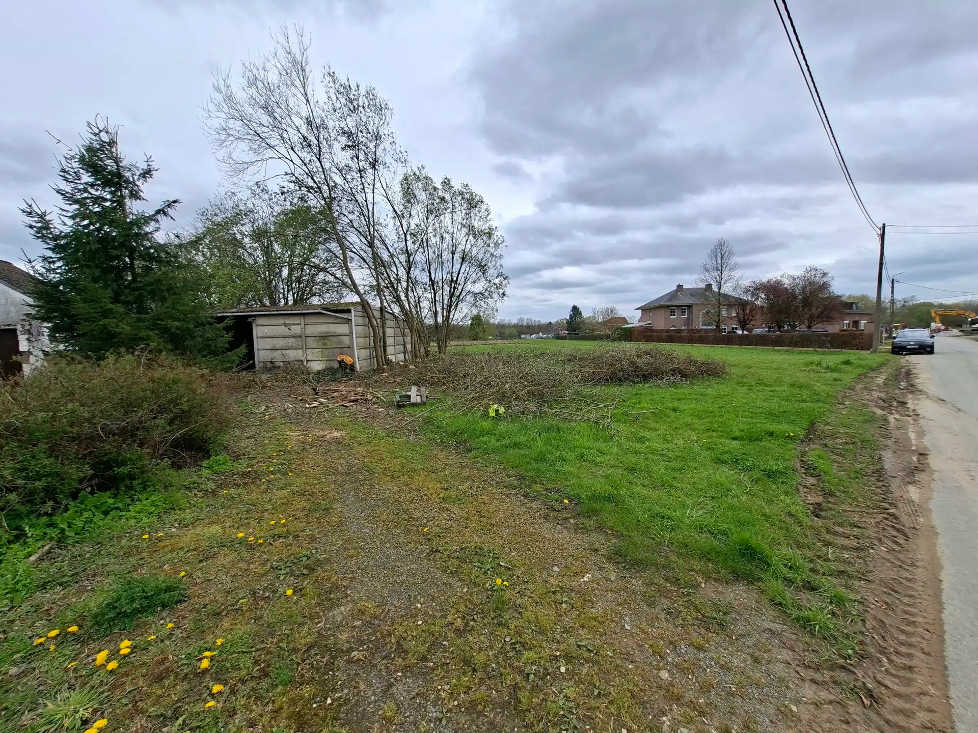 Bouwgrond van 26 are voor open bebouwing te Wezemaal foto 4