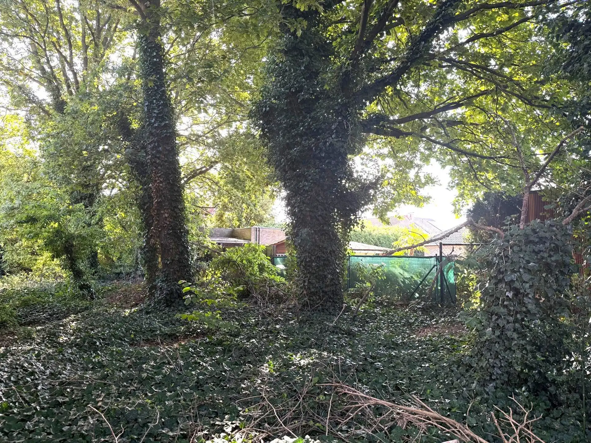 Bouwgrond voor HOB foto 5